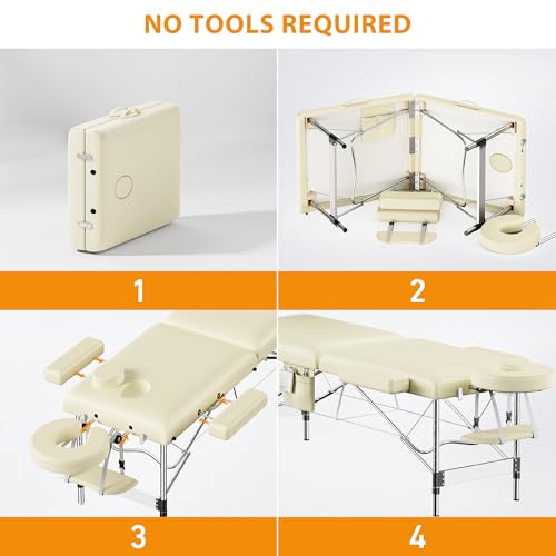 Portable 2-Fold Black Massage Table with Carrying Bag B223