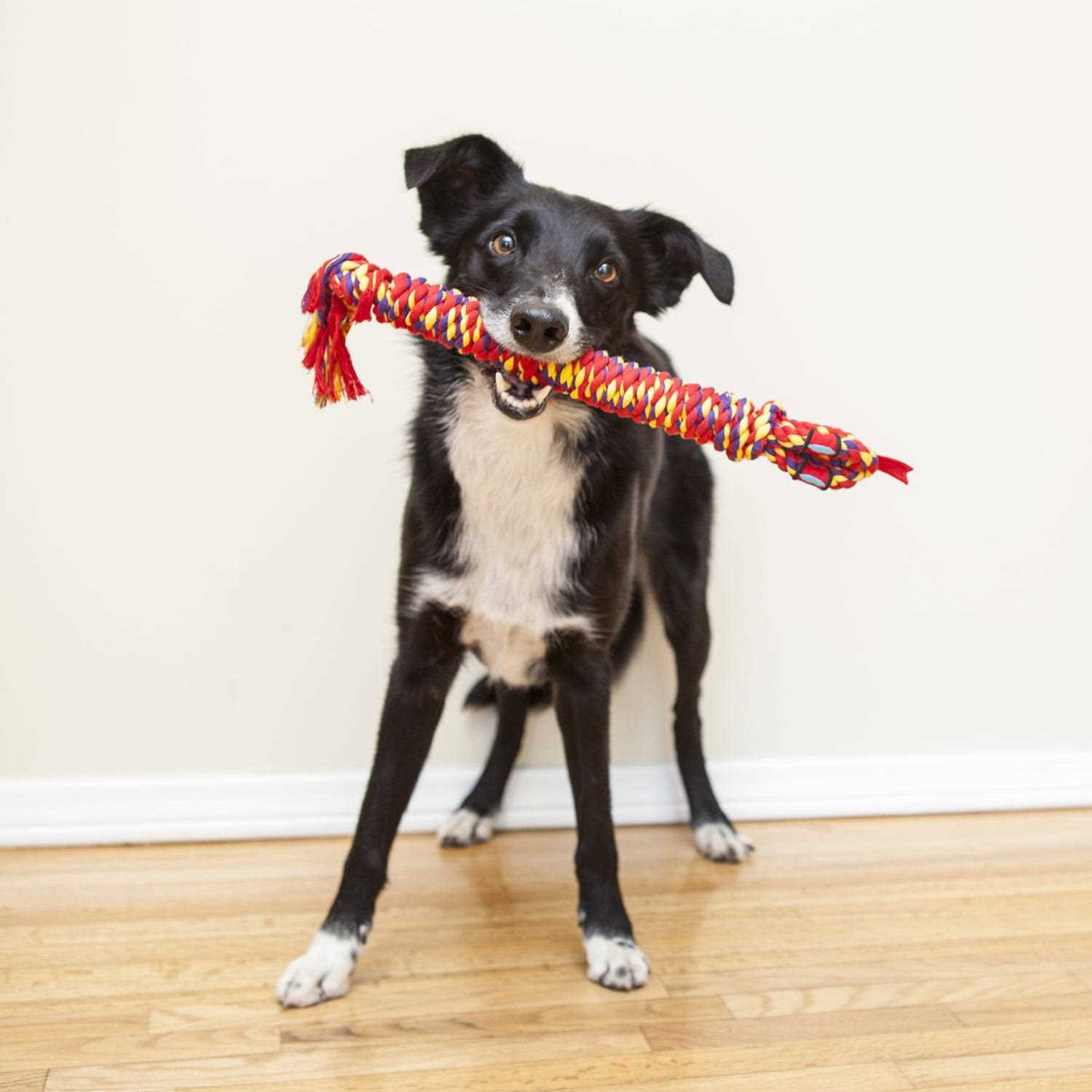 Dog Toy S768
