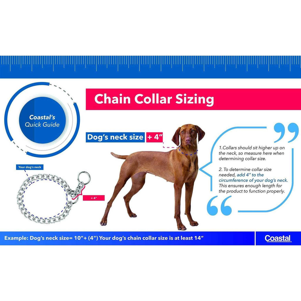 Dog Prong Training Collar H65286