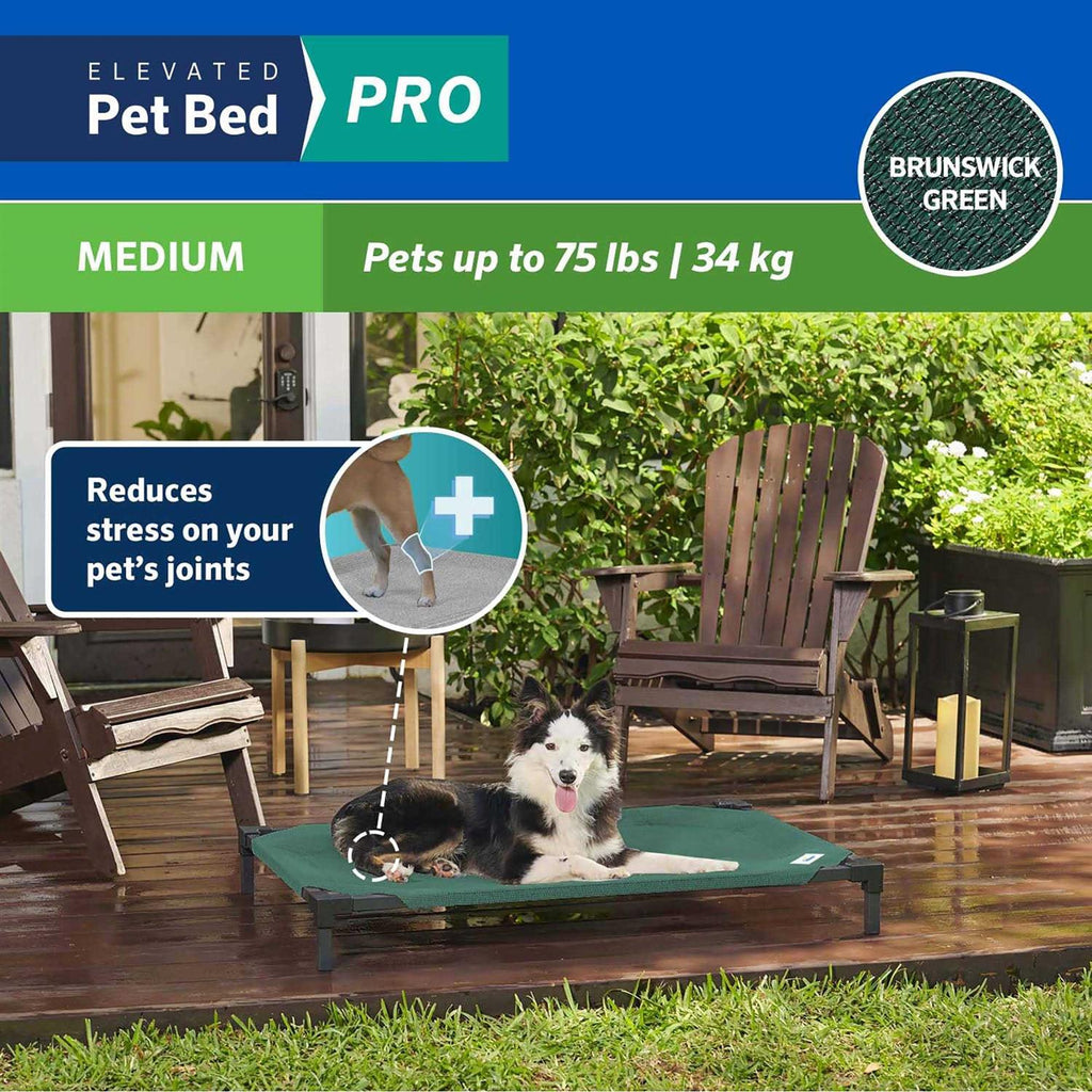 Elevated Pet Bed R960589