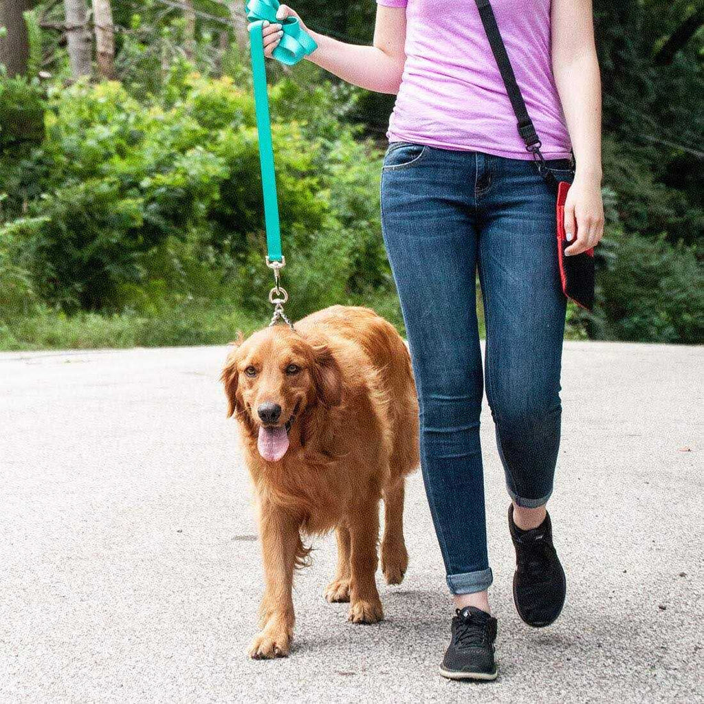 Dog Prong Training Collar H65286