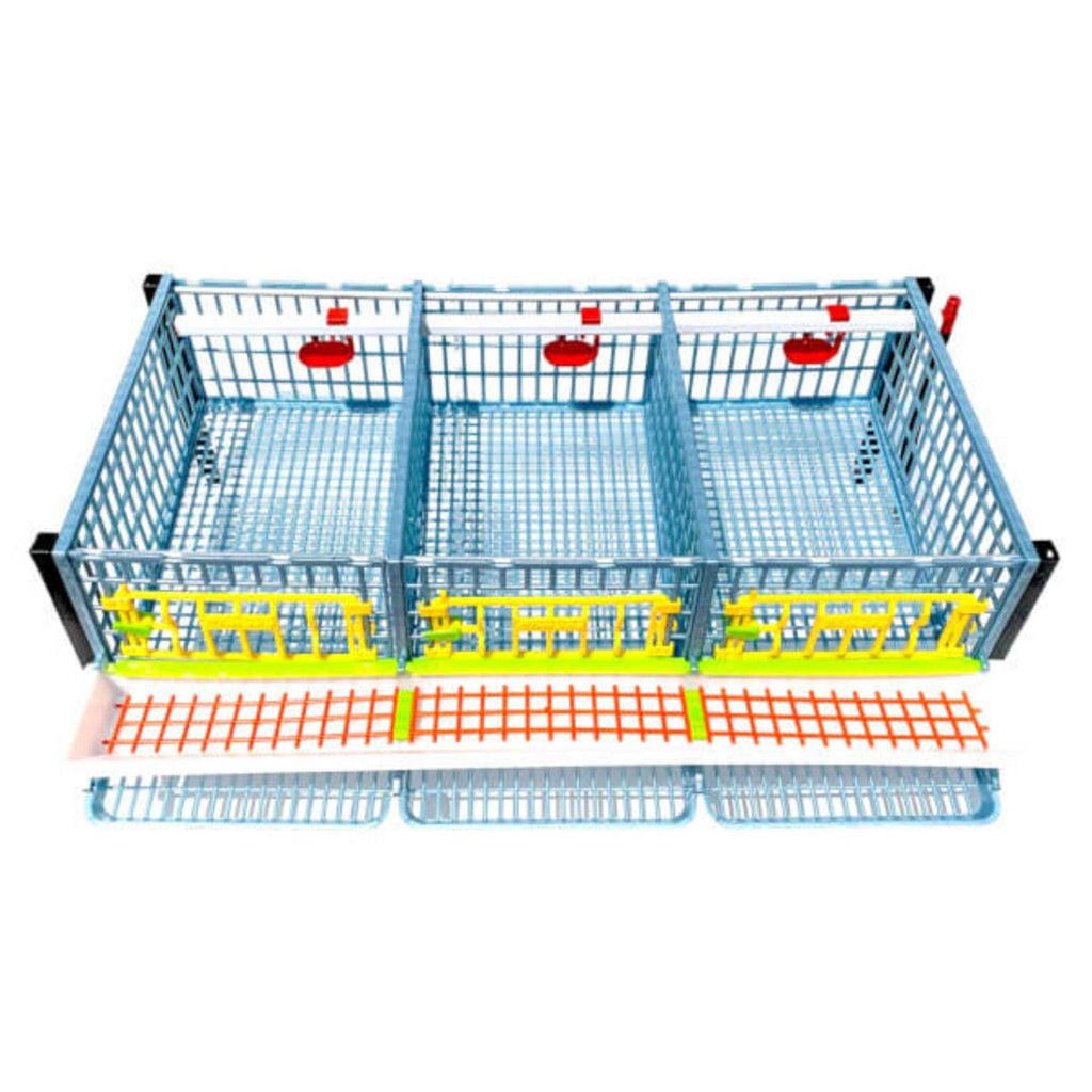 Partridge Cage 1 Layer W738360