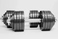 Adjustable Dumbbells 105 lbs I447974