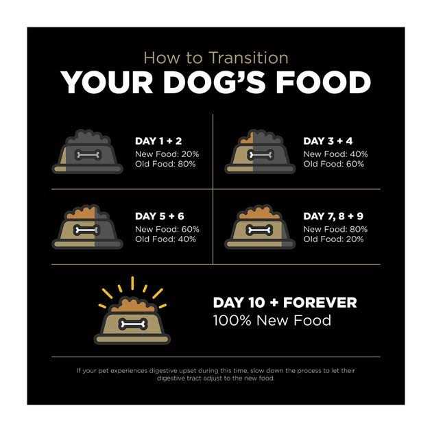 Limited Ingredient Duck Grain-Free Dry Dog Food V310