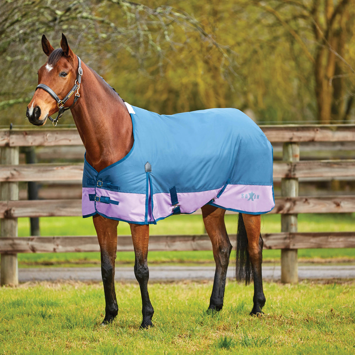 600d Gusset Standard Neck Dark Blue/Orchid 81x22 T309