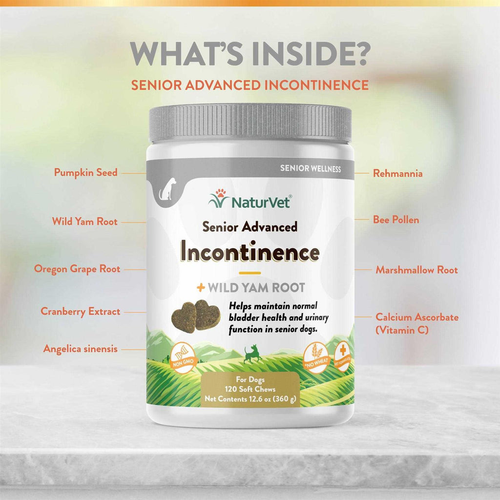 Senior Advanced Incontinence Soft Chew H399577