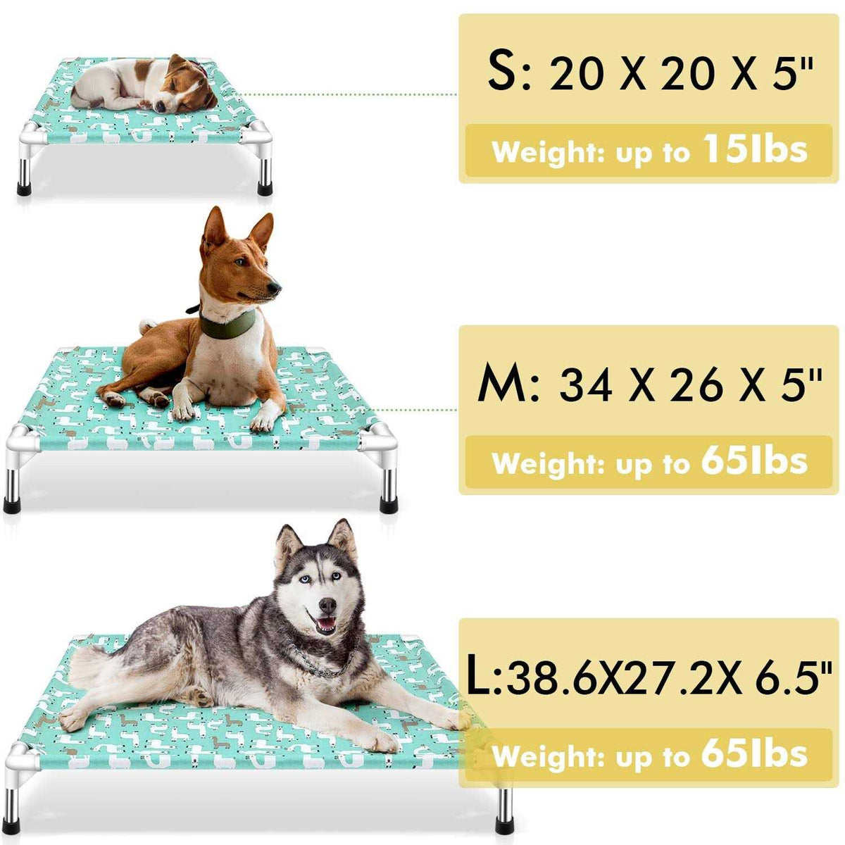 Elevated Dog Bed Pet cot for Small Dogs M982