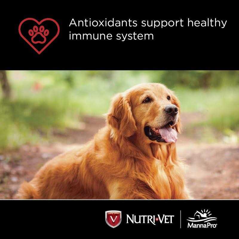 Chewables for Dogs T325
