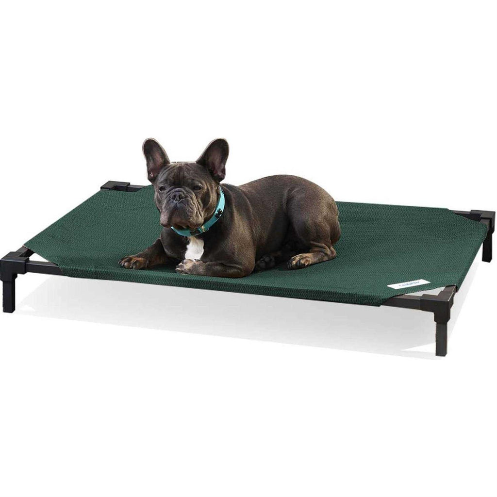 Elevated Pet Bed R960589