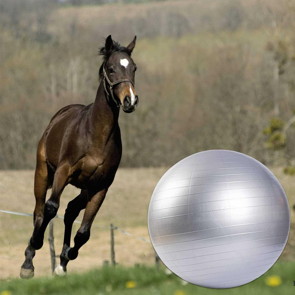 30 Inch Anti-Burst Horse Herding Ball with Pump F3716