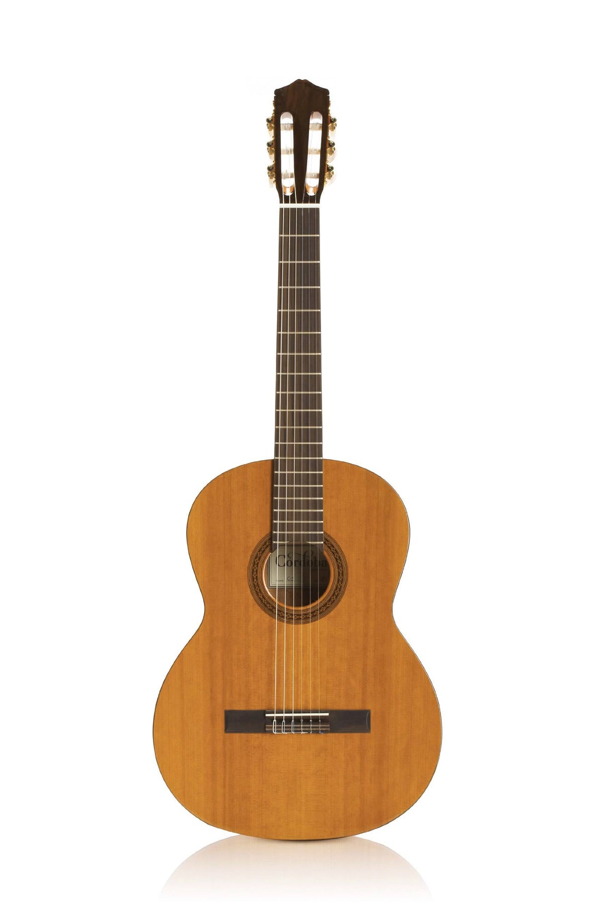 Nylon String Classical Guitar F34775
