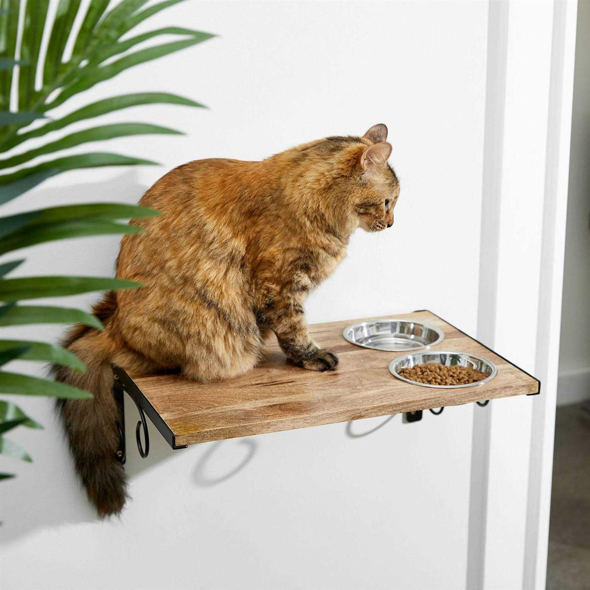Wooden Wall Mounted Stainless Steel Cat Feeding Station with Bowl Y527870
