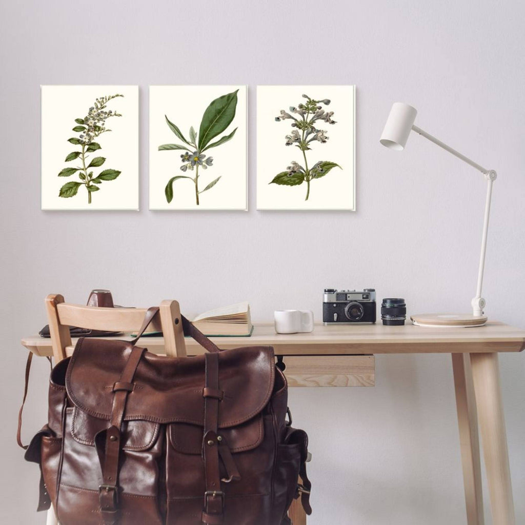 Minimal Blue Botanical Study Framed Floral Wood Print in Brown V91416