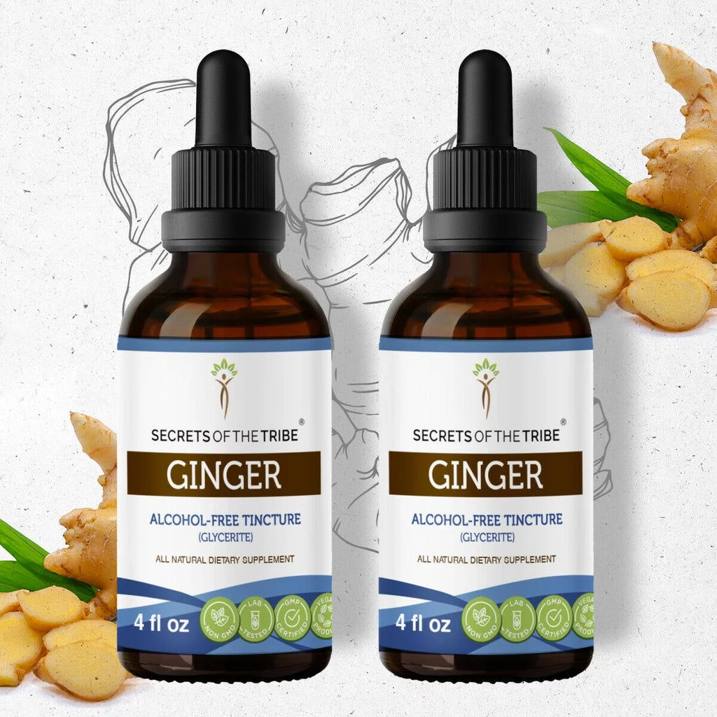 Organic Ginger Zingiber officinale Extract 2x4 oz S6428