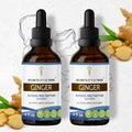 Organic Ginger Zingiber officinale Extract 2x4 oz S6428