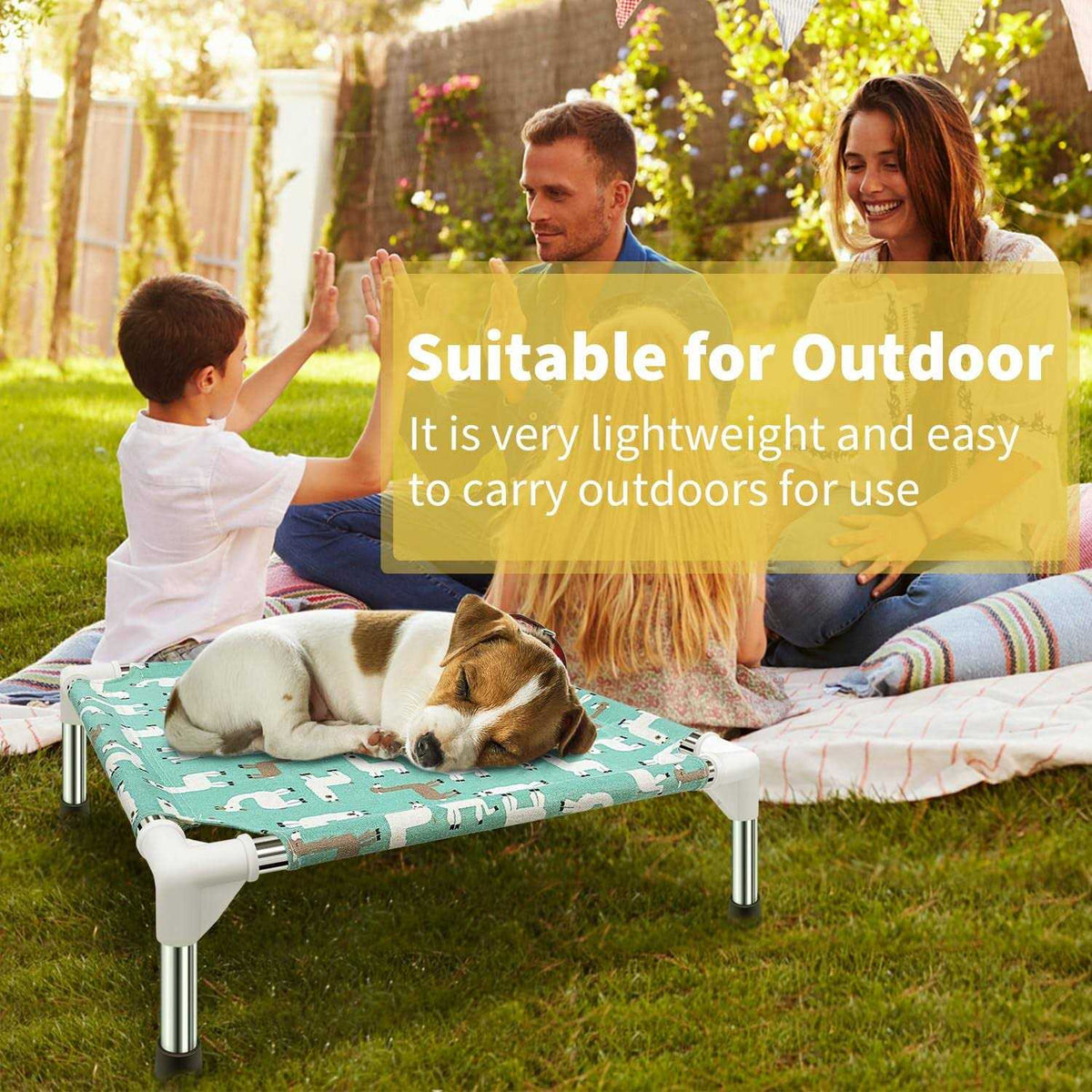 Elevated Dog Bed Pet cot for Small Dogs M982