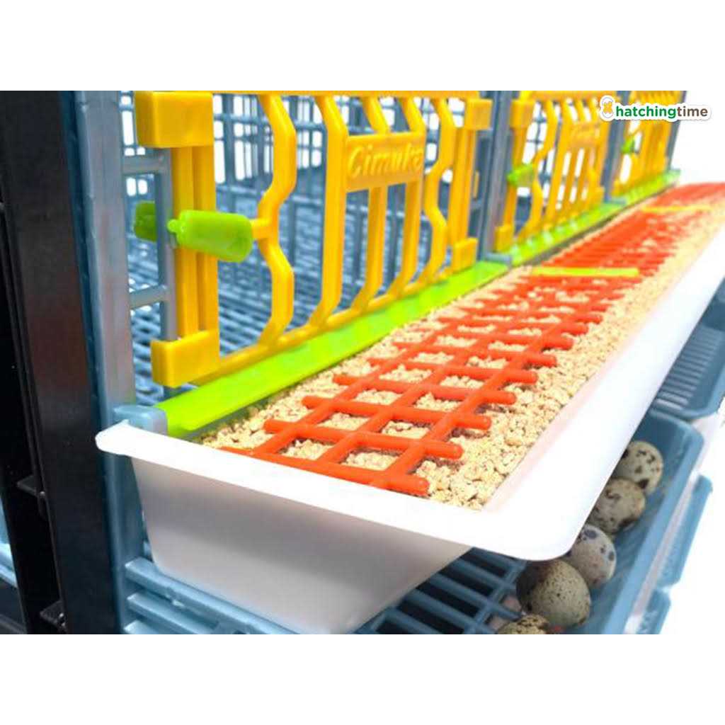 Partridge Cage 1 Layer W738360