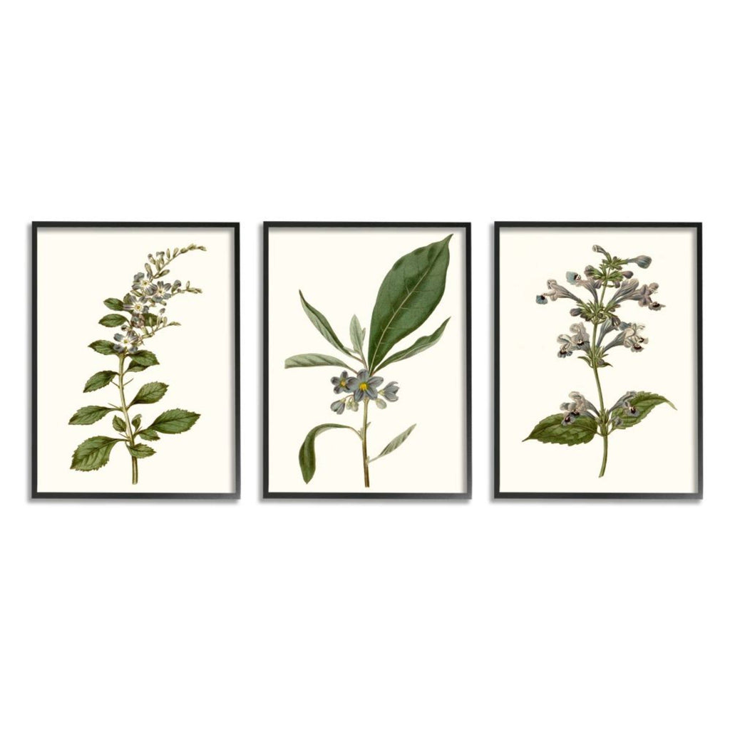 Minimal Blue Botanical Study Framed Floral Wood Print in Brown V91416