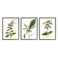 Minimal Blue Botanical Study Framed Floral Wood Print in Brown V91416