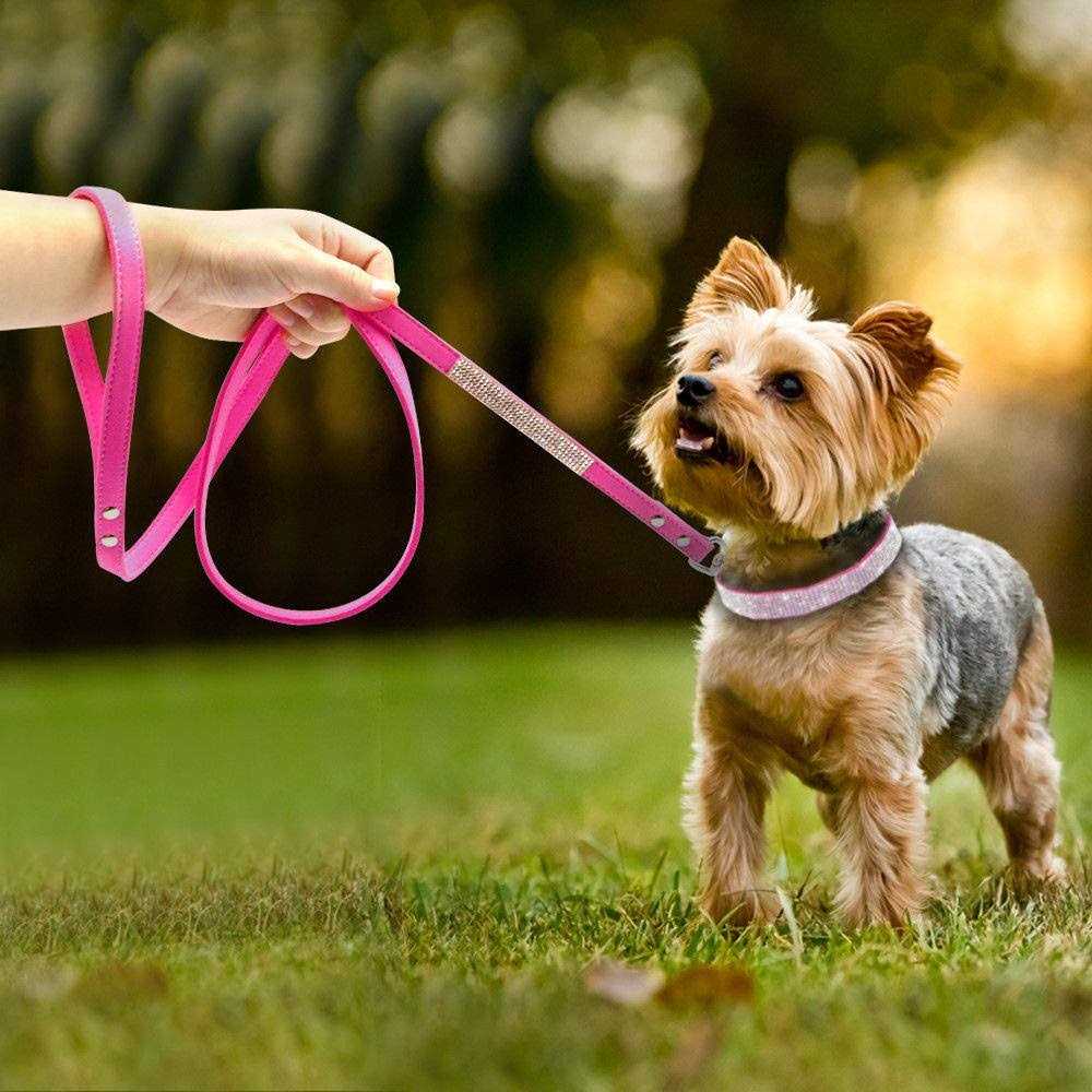Rhinestone Soft Suede Leather Dog Collar H685