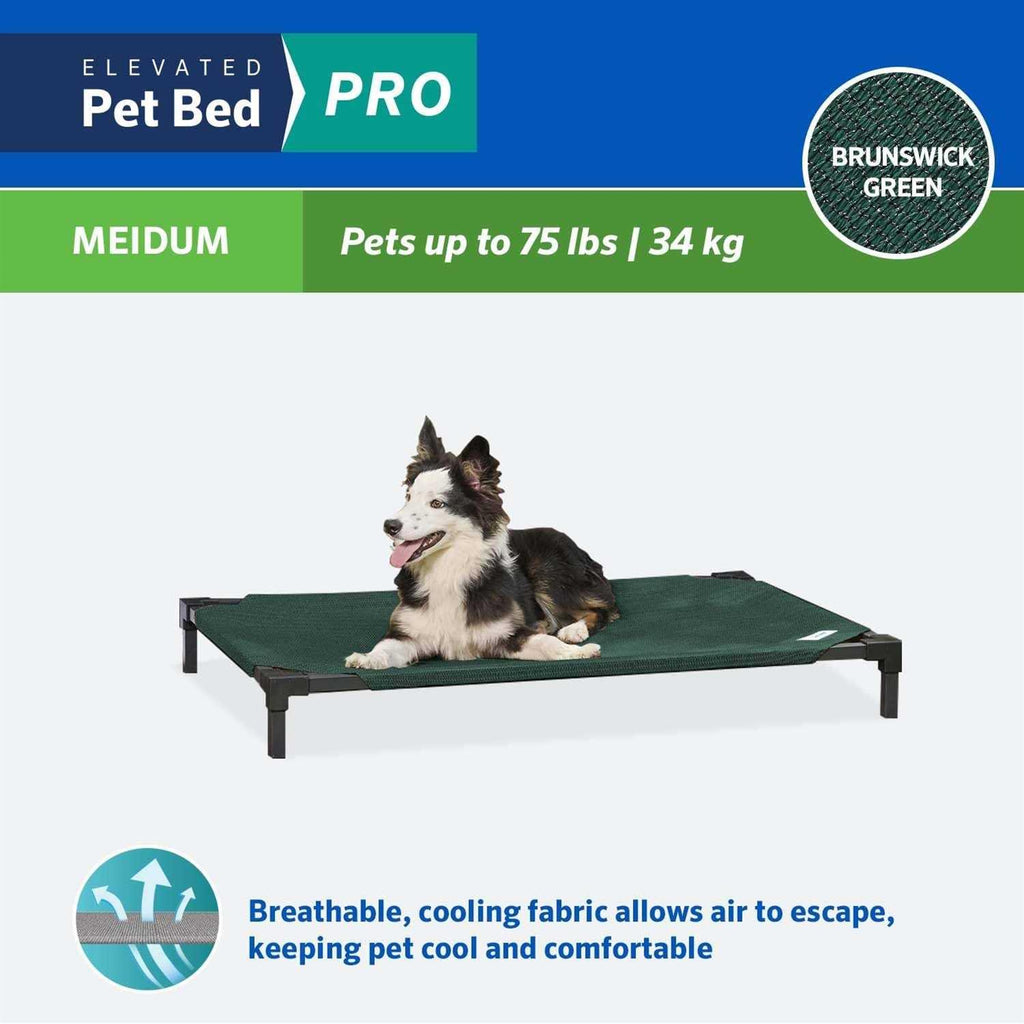 Elevated Pet Bed R960589