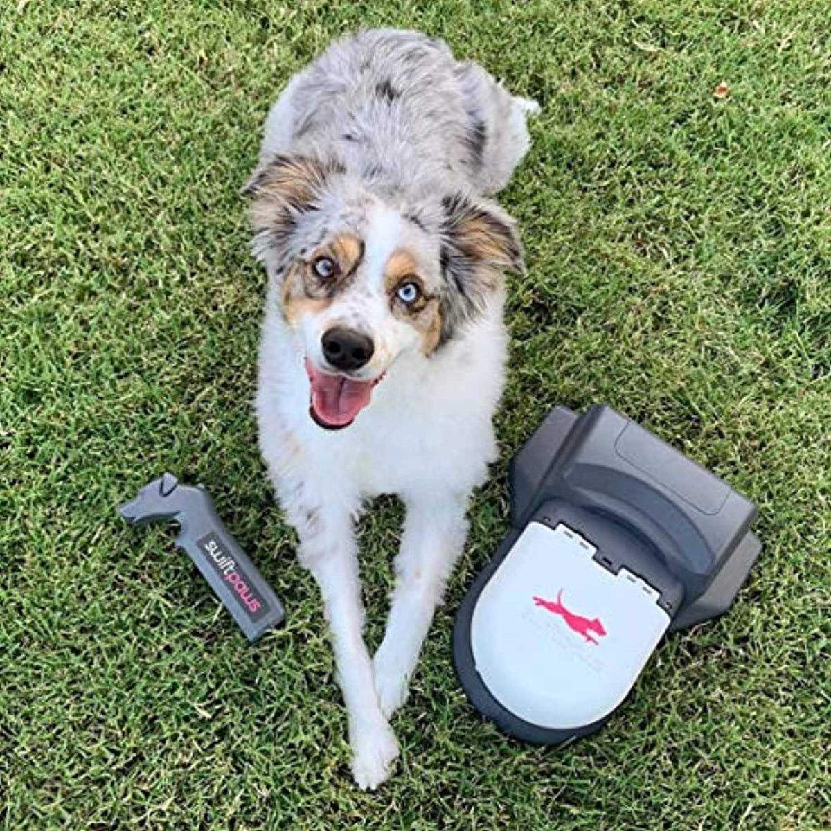 Remote-Control Chase Toy for Dogs X8963