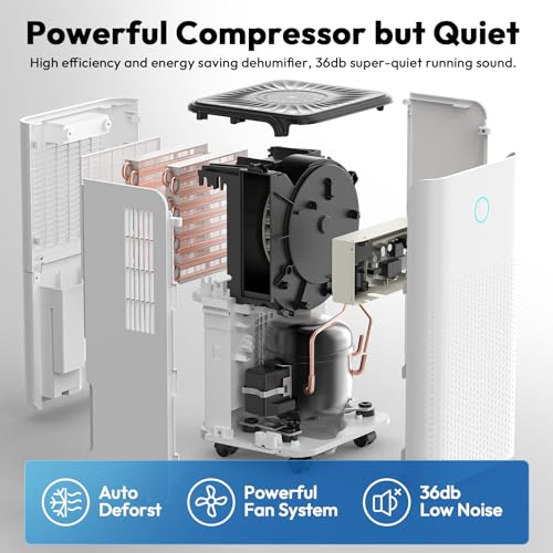 30 Pint Dehumidifier with Drain Hose K185880