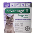Flea Treatment Cats Y1376