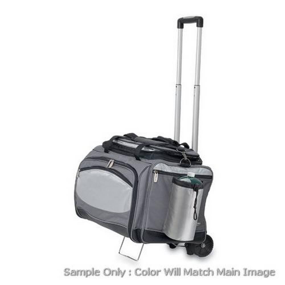 Vulcan Cooler & Propane Gas Grill P665