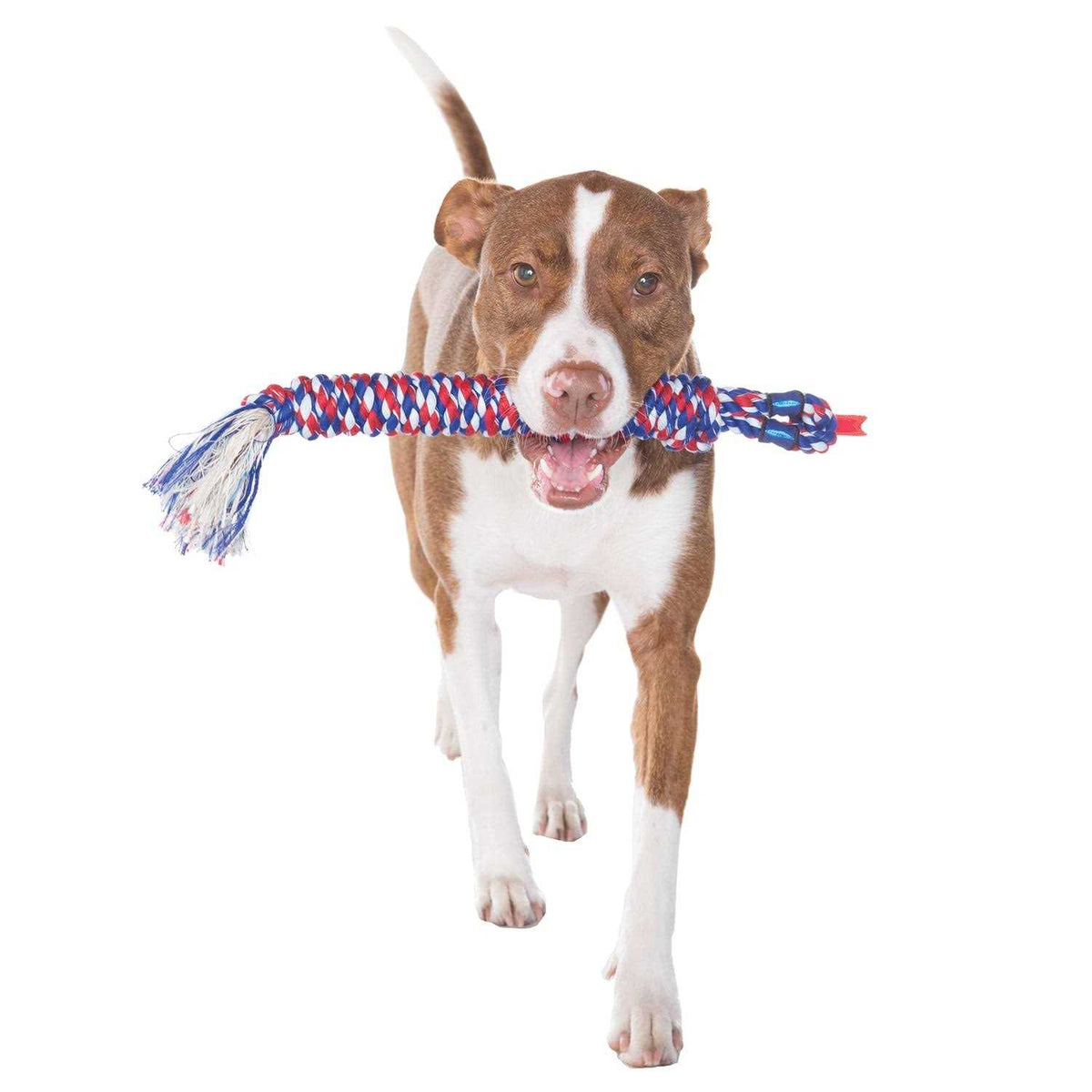 Dog Toy S768