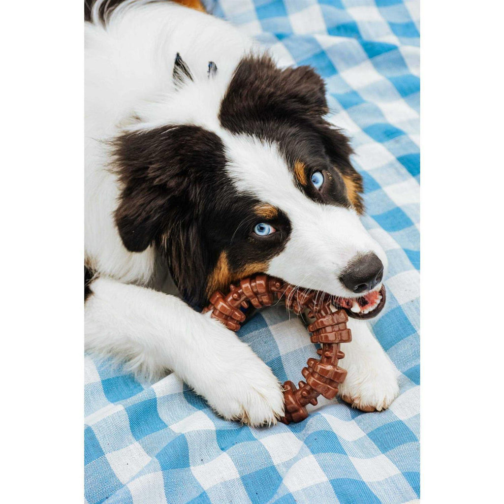 Textured Chew Ring A60056