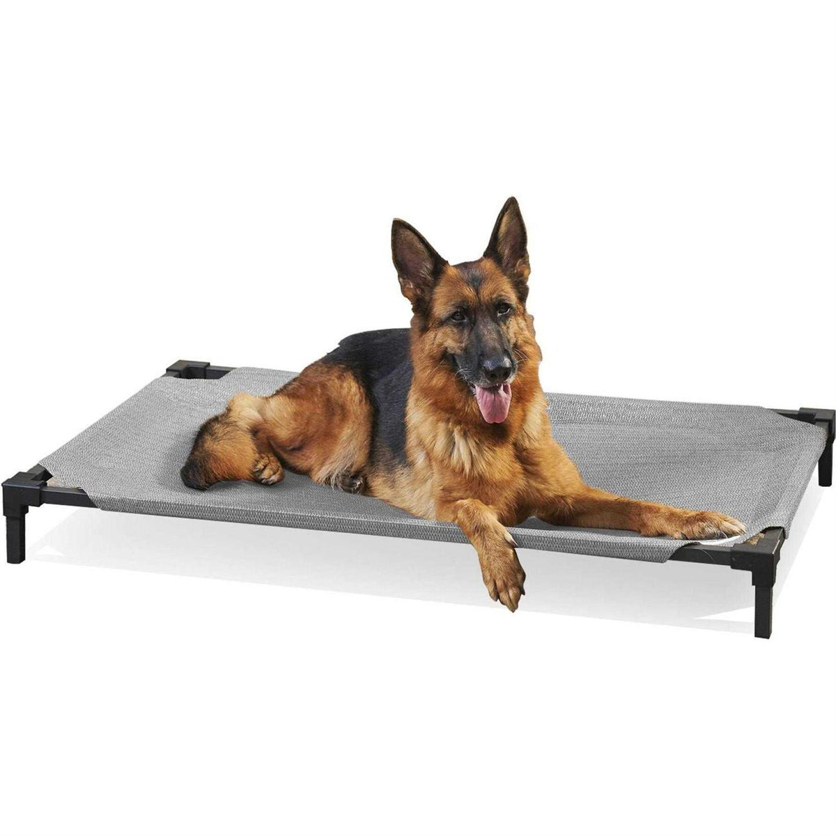 Elevated Pet Bed Q849940