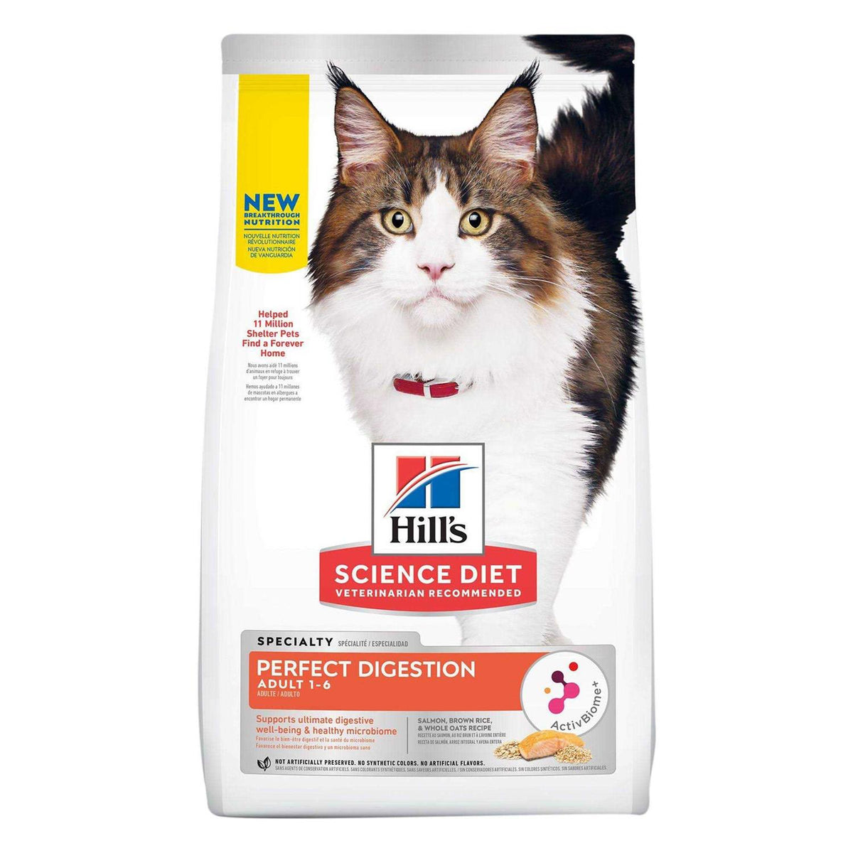 Adult Cat Dry Food Salmon R140434