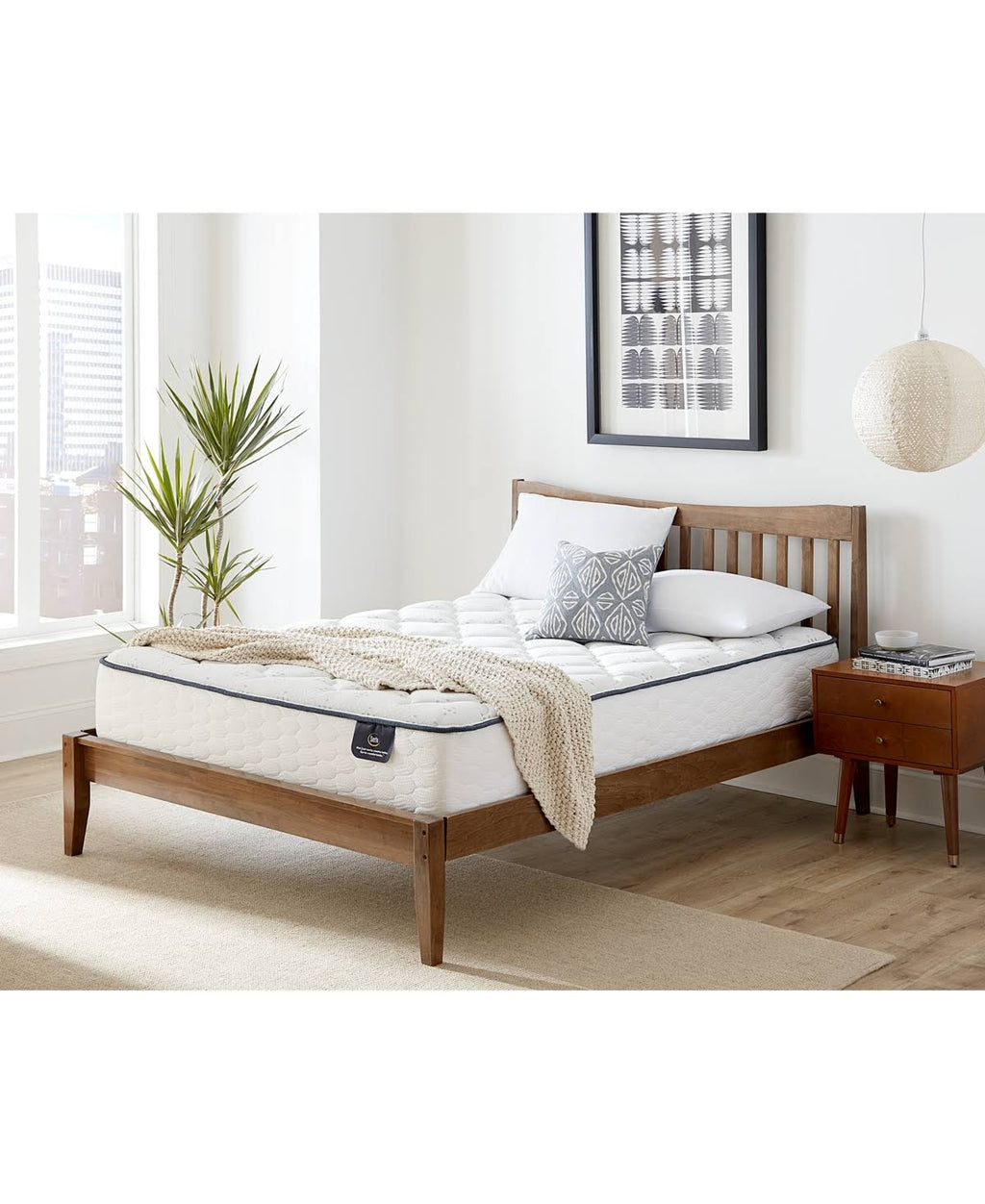 Plush Queen Mattress T42657