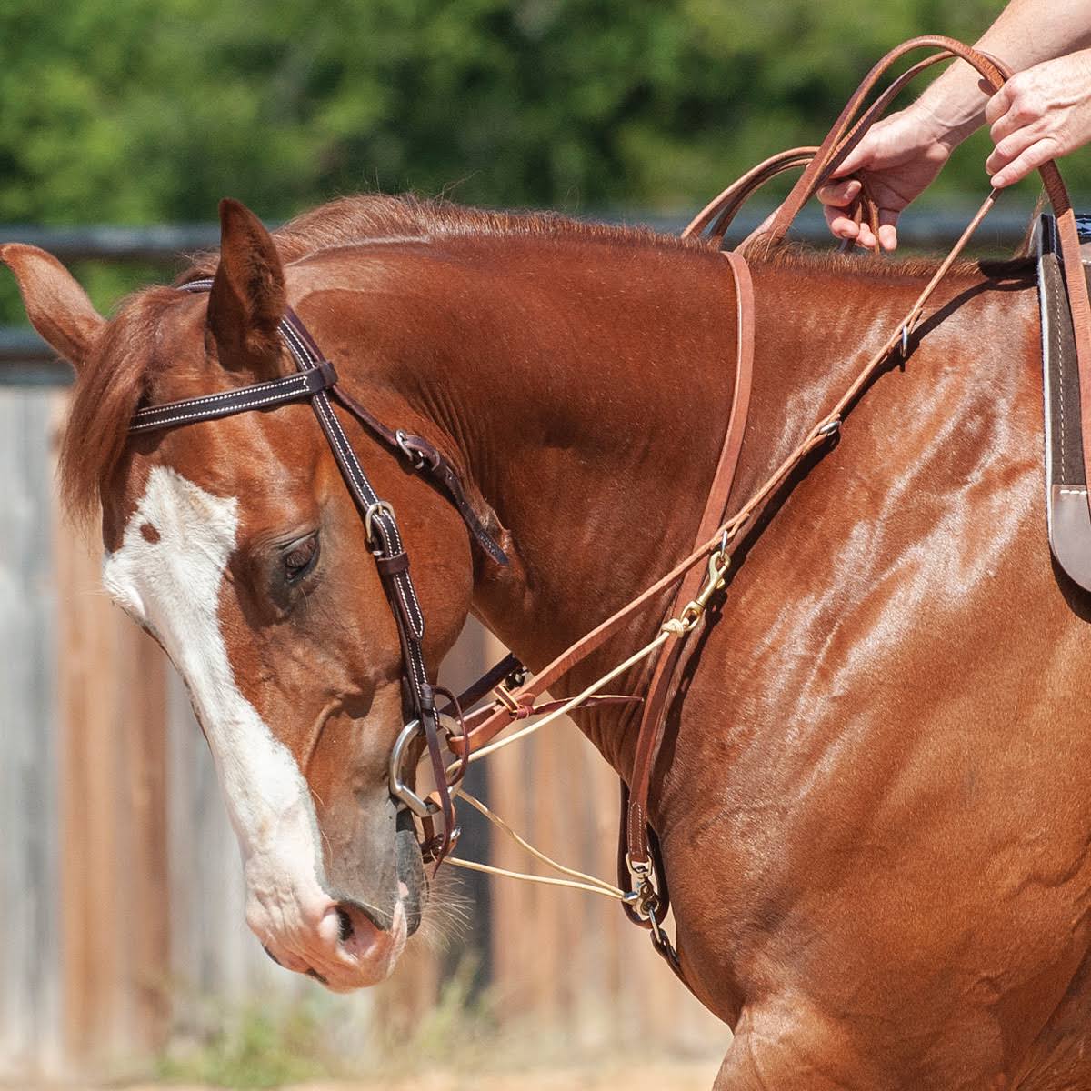 German Martingale with Split Rein C152714