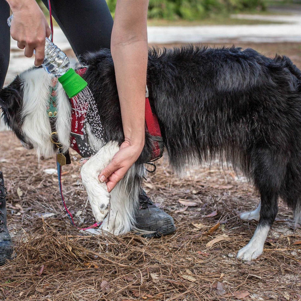 Dog Travel Shower A5107