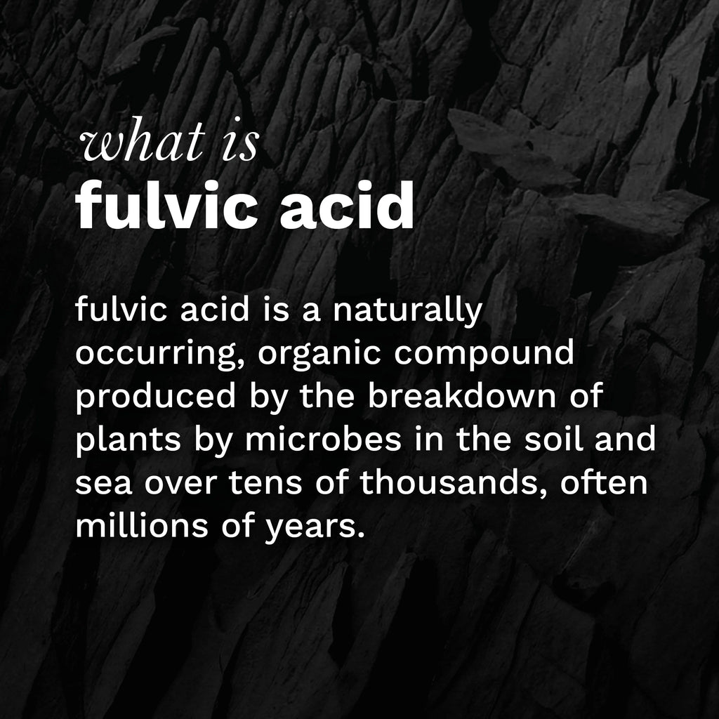 Water Infused with Fulvic Minerals, Essential Amino Acids, Trace Minerals, Alkaline Ph 8.0+, 1L (Pack Of 12) A5899