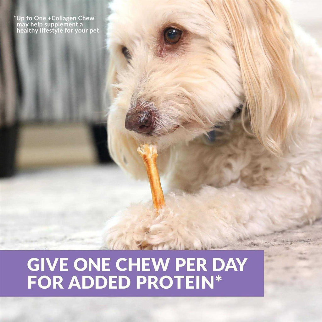 Beef Collagen Sticks Dog Chews U995301