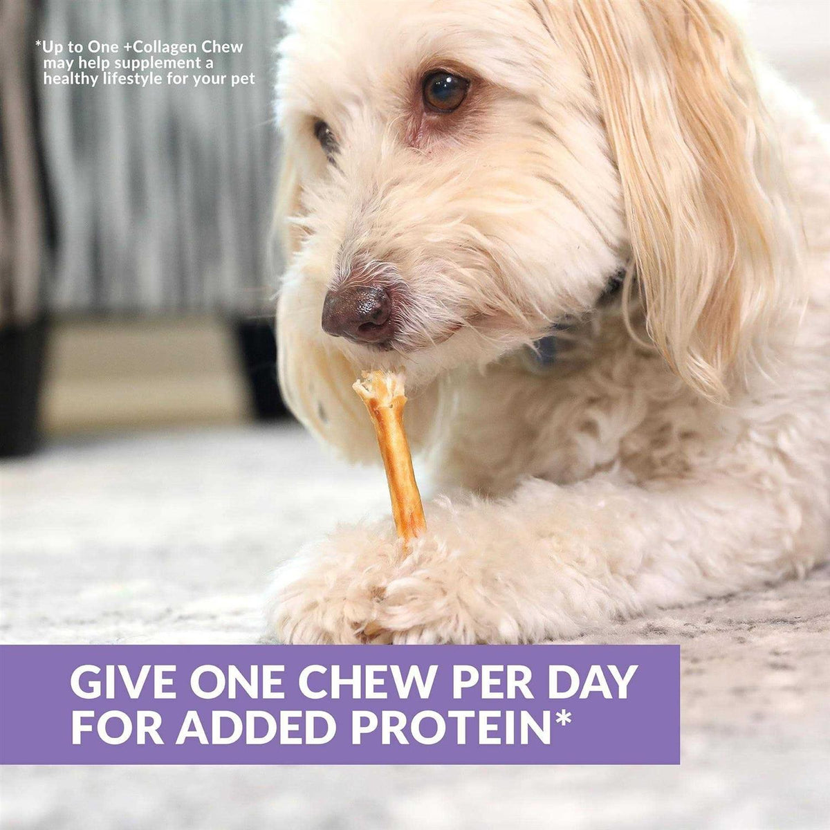 Beef Collagen Sticks Dog Chews U995301