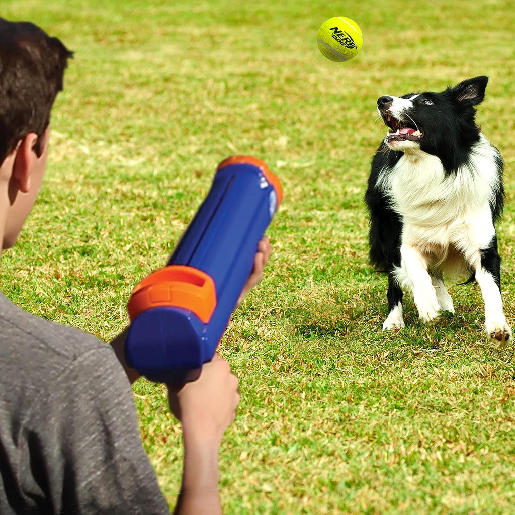Tennis Ball Blaster Dog Toy D931101