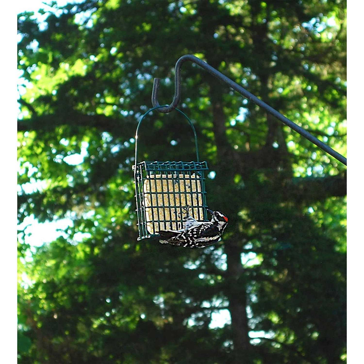 High Energy Wild Bird Suet E675607
