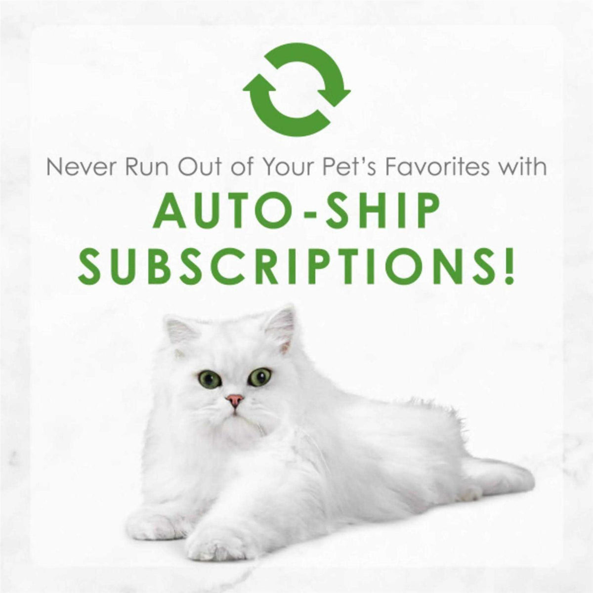 Shredded Cat Food N3098