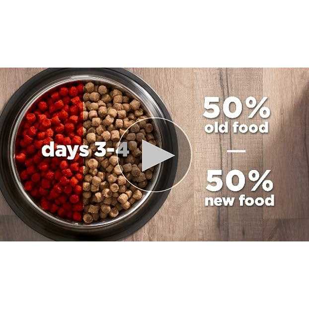 Adult Cat Dry Food Salmon R140434