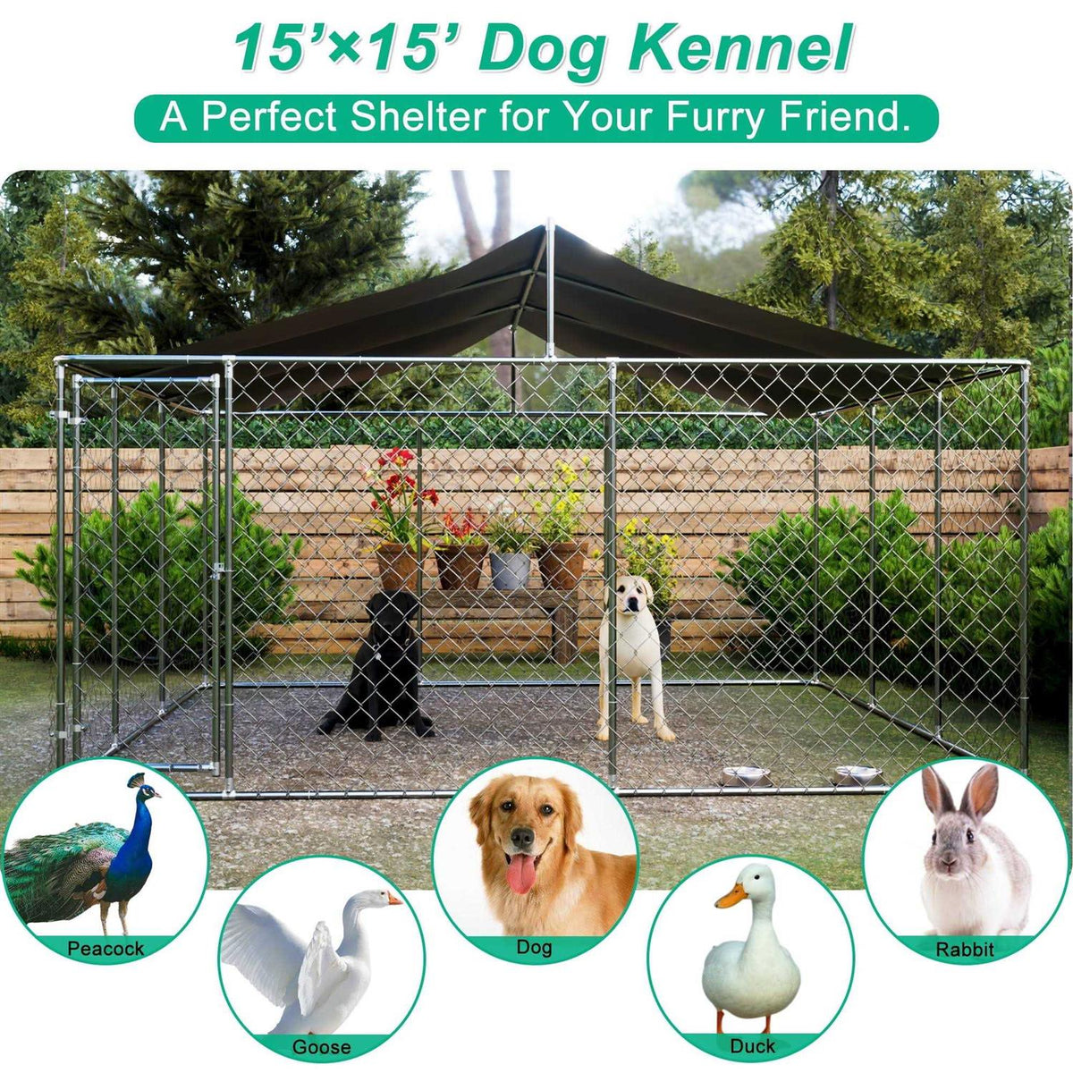 15 x 15ft Dog Kennel I871001