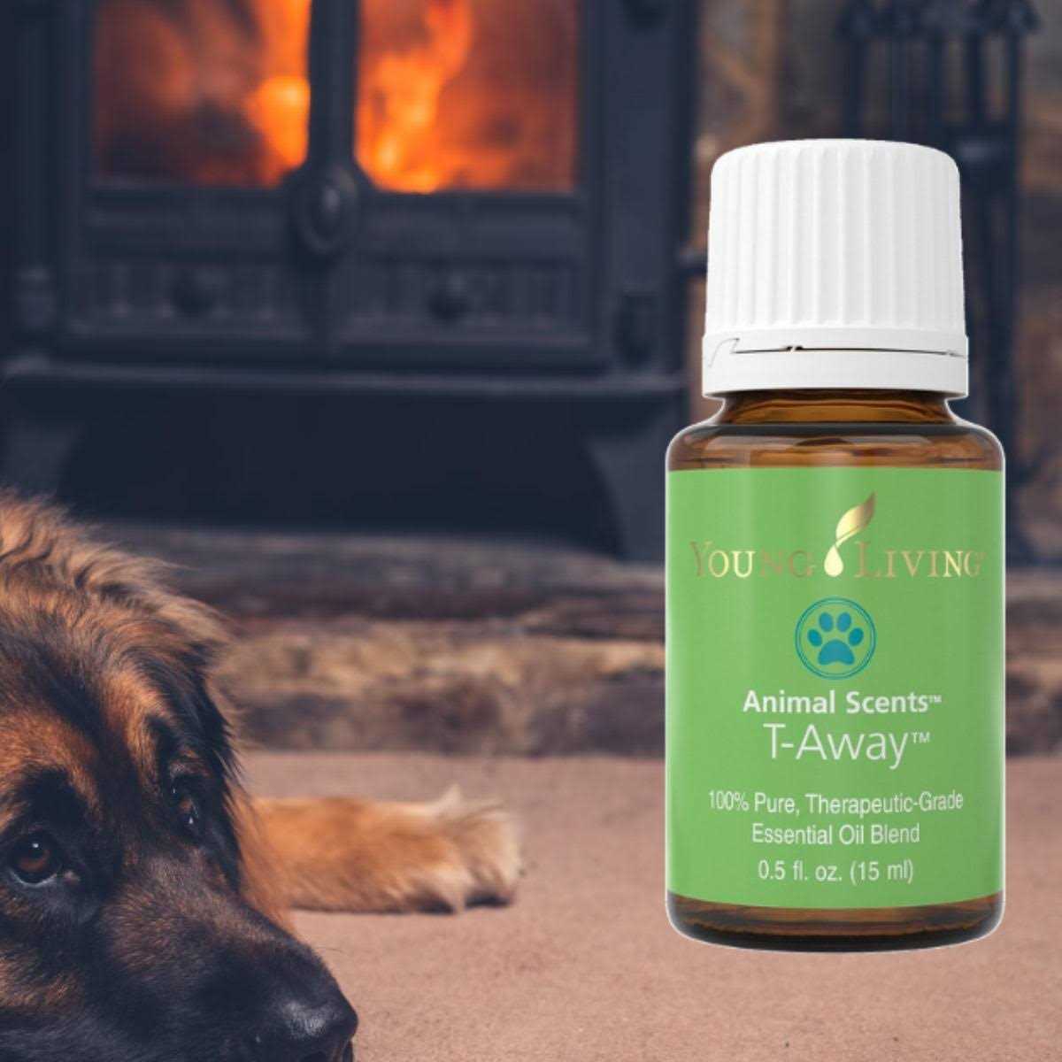 Pet Supplies Z61901