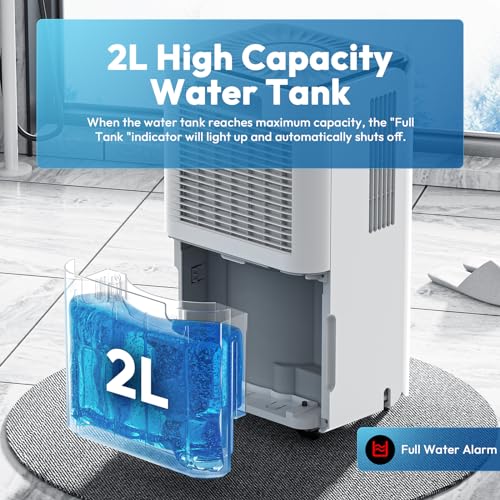 30 Pint Dehumidifier with Drain Hose K185880