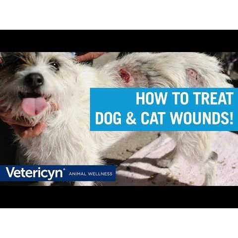 Wound & Skin Care E280258