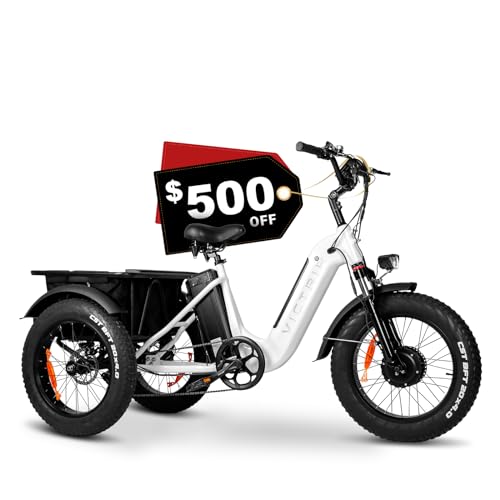 Electric Trike 20" Fat Tire 750W 48V 31.5Ah Removable Dual Battery 3 Wheel Electric Bicycle with Large Basket T8573