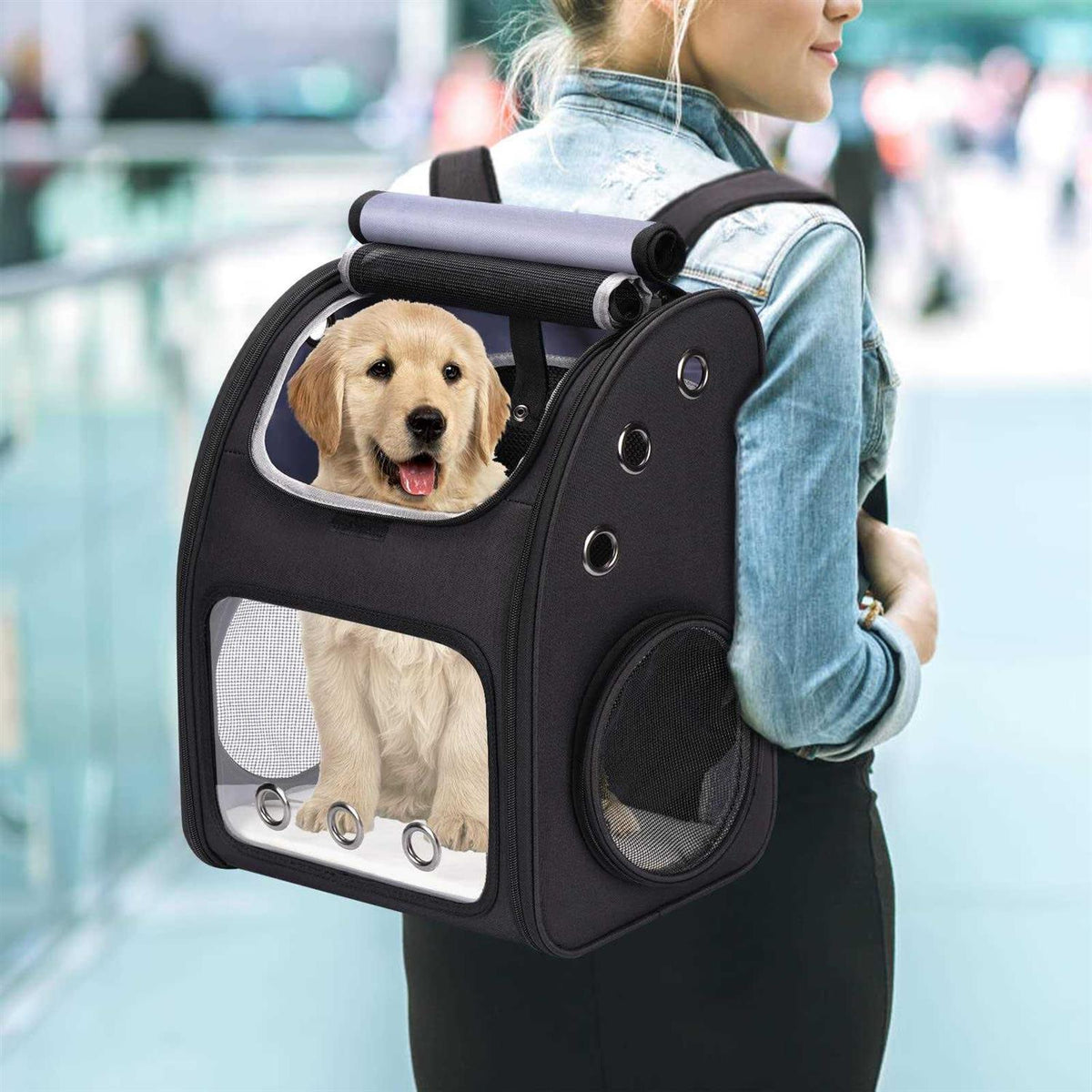 Expandable Pet Carrier Backpack Q520768