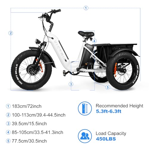 Electric Trike 20" Fat Tire 750W 48V 31.5Ah Removable Dual Battery 3 Wheel Electric Bicycle with Large Basket T8573